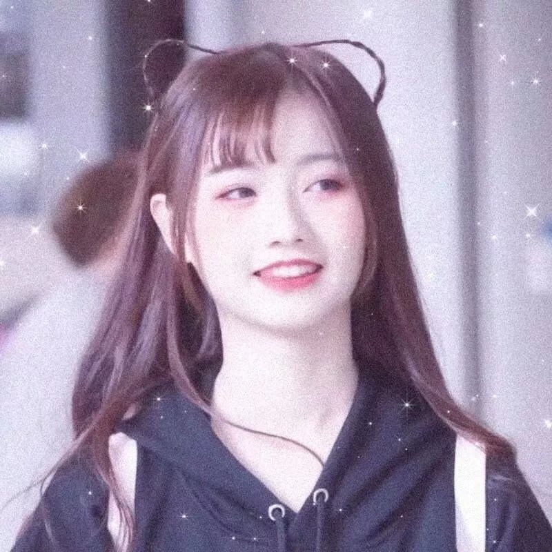 少年骑士